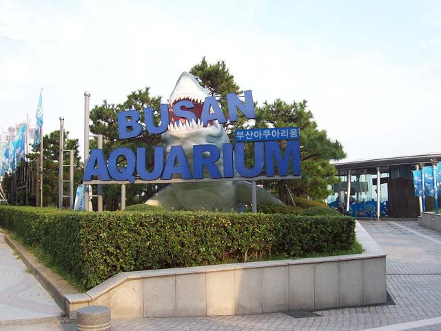 Sea Life Busan Aquarium